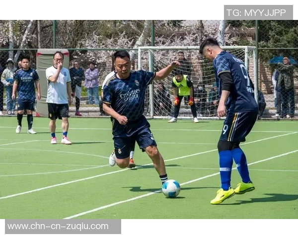 足球的魅力与激情展现多样化的相关图片欣赏与分享